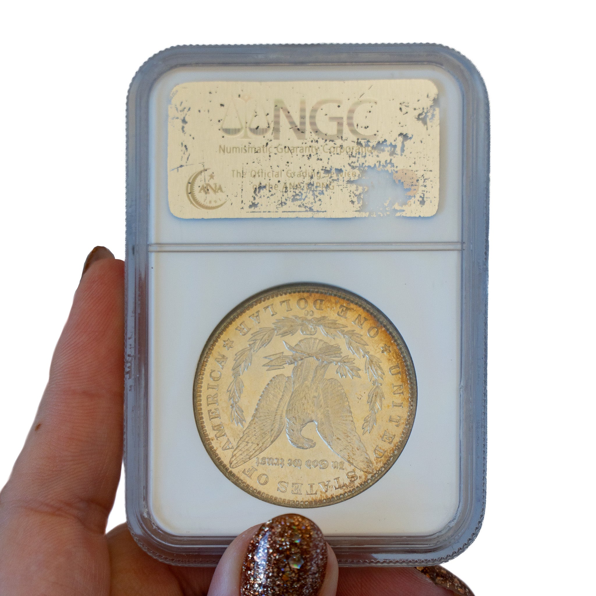 1883 $1.00 Toned Morgan Silver Dollar CC - NGC MS64, CAC